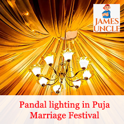 Pandal lighting in Puja Marriage Festival Mr. Sanjoy Barman in Raiganj